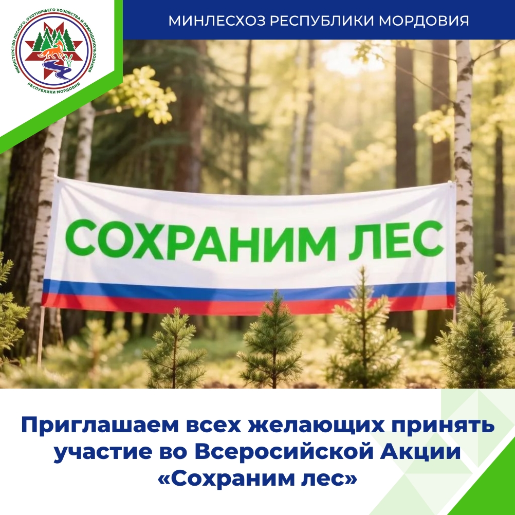 Реализация в Мордовии национальных проектов, предложенных Президентом России.  Акция «Сохраним лес»: в Краснослободском районе высадят 4 000 сосен в рамках нацпроекта «Экологическое благополу